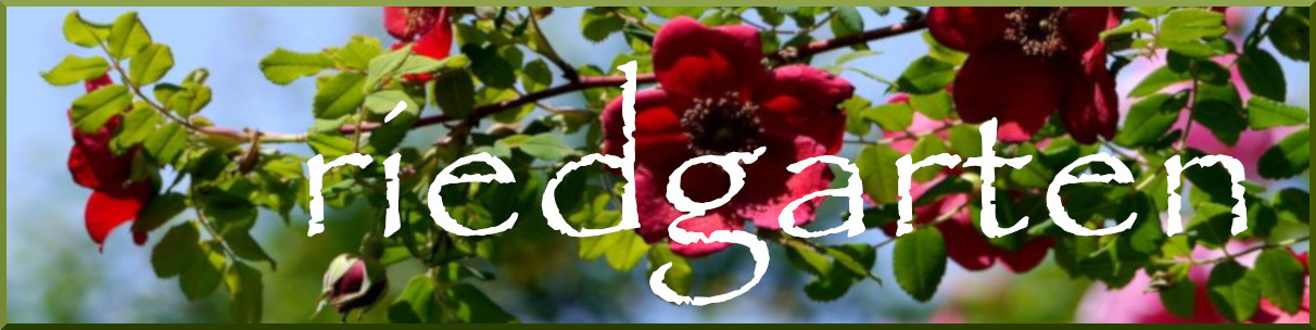riedgarten.net
